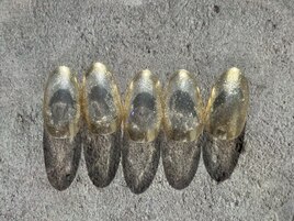 ★定額¥8500コース★