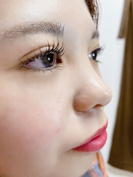 ランプシー(Lampsi)/