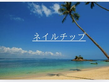 アオアクア(Ao Akua)/オーダーチップ