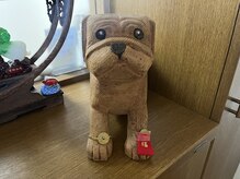 和楽治療院 神楽坂/お出迎え犬