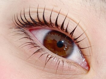 シエル(CIEL)/まつげパーマ上下セット