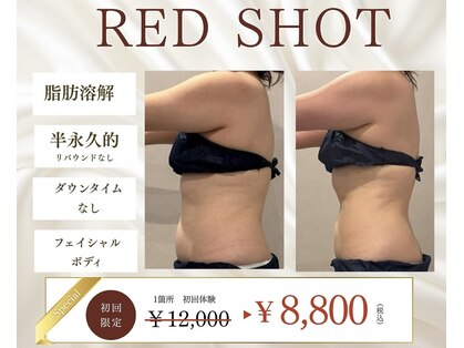 なごみの写真