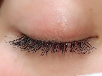 カラン 焼津店(CALIN)/フラットラッシュ140本