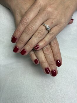 オランダエステティック(Holland Esthetics)/ワンカラー