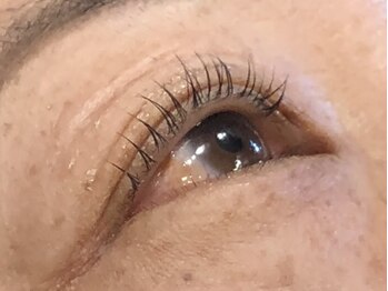 ピクシーボブ(Pixie Bob)/★根本から毛先までカール