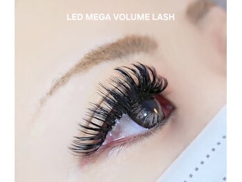 ベア(bear)の写真/【NEW】LED×つけ放題メニューでコスパ◎ボリューム感を出したい方にはつけ放題がオススメです！