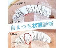 ズール(ZUL)の雰囲気（自まつ毛のこと理解してますか？手厚いサポートで状態が変わる★）