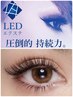 LED×【バインドロック120束】持続No.1 オフ無料☆新規12582円
