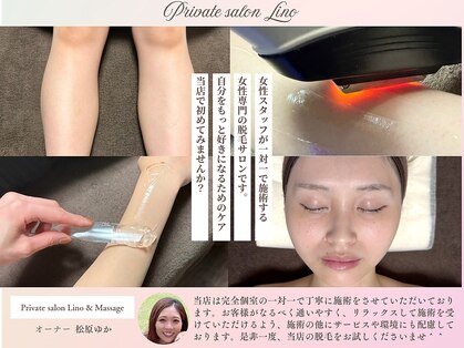 リノ(Lino)の写真