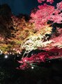 エスペランサ 西荻窪店&nbsp;紅葉のライトアップ。最高にきれいですよね！