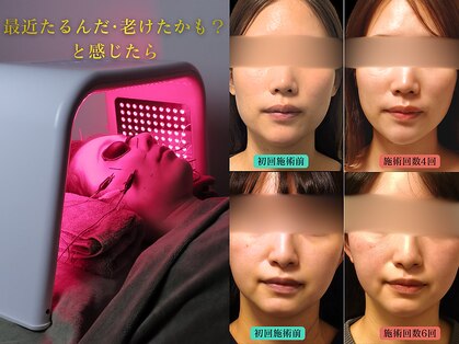 やなけん 亀戸店の写真