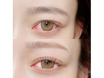 リノ 中目黒(Lino)/アイブロウ＋ラッシュリフト