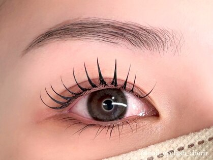 シェリール(cherir)の写真