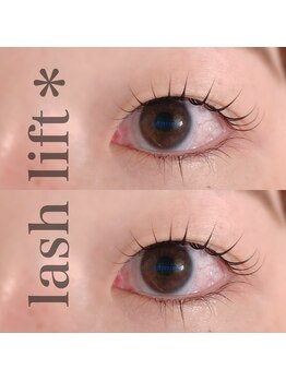 カミーノ(CAMINO)/