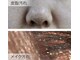 イーズ(ease)の写真/毛穴のつまり、ザラつきをケアしてつるつる肌に♪化粧ノリも良くなり、理想の肌へ！