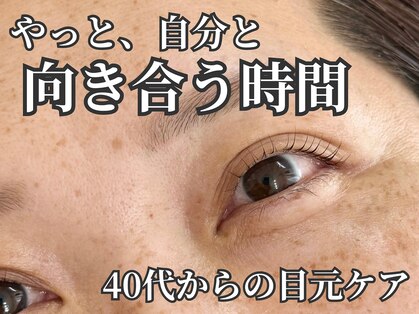モンステラ(MONSTERA)の写真