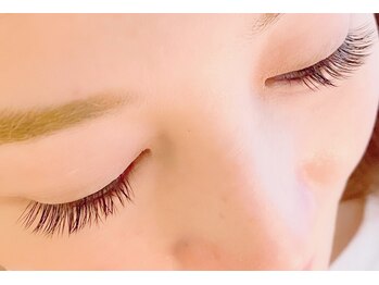 ループ(LOOP)/フラットラッシュ120本