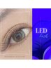 ((ご新規様))水に強いLED★ボリュームラッシュ300/400本  ¥7700/8700/CT付