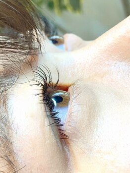 ショーン アーチャリー(CYON ARCHERY)/【マツエク】