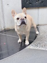 アヤネイルズ アンド アイラッシュ(AYA NAILZ.＆Eyelash)&nbsp;COLORI 