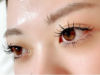 ベルダ(BELDAD)/シングル100本×下まつ毛