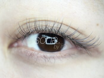 ソナ バイ イト(sona by itO.)/カラーフラットラッシュ120本