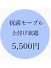 抗菌ハイグレード◎セーブル つけ放題　5500　　他店様オフ込