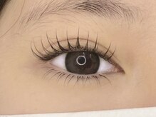 ランズ 新宿(LANDS)/パリエク80本