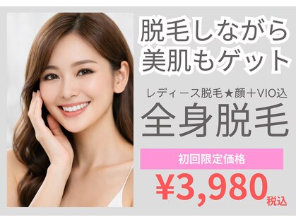 モルト(MOLT)の写真