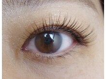 テイラー(Taylor)/上まつげエクステ100本　SONE