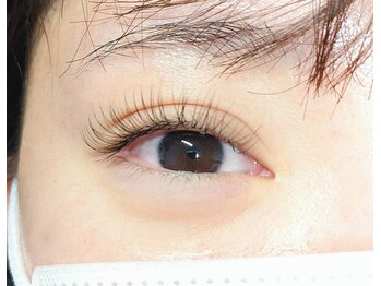 リオーラ(Liola)/フラットマットラッシュ120本