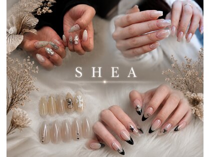 シア(SHEA)の写真