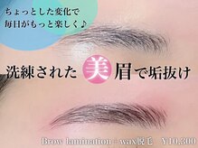 プリュム(plume)の雰囲気（毛流れを整えて、より洗練された印象に♪ブロウラミネーション）