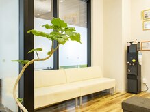 たいよう鍼灸整骨院 ブランチ 松井山手(BRANCH)/*待合スペース*