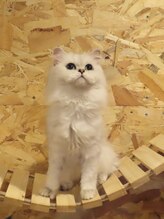 サロン ド アンティーク(Salon de Antique*) あんみつ