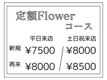 シェルウェリナ(SHeLL WELINA)/