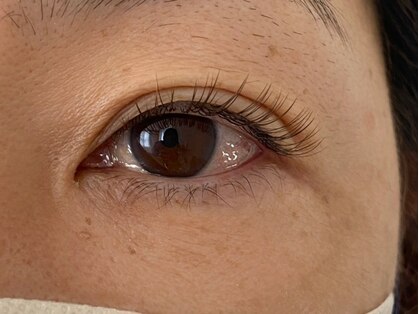 サイ(Sai)の写真