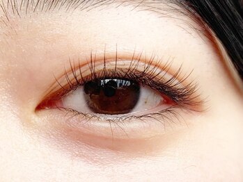 テイラー(Taylor)/120本　SATO