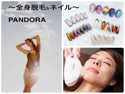 パンドラ(PANDORA)の写真