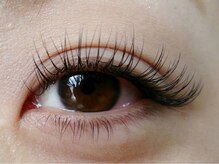 ニジュウバンチ クダマツ(20Banchi Kudamatsu)/セーブル160本