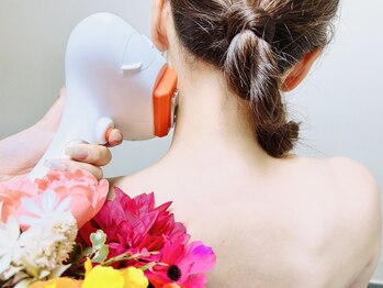 マイマイ(MaiMai)/