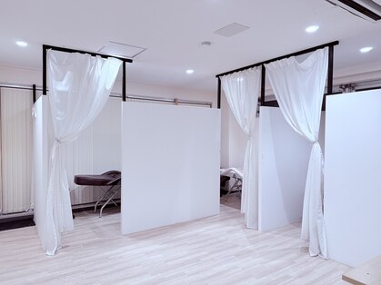 コア(Koa)の写真