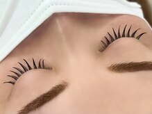 ルピナス 川口(Lupinus)/フラットラッシュ140本