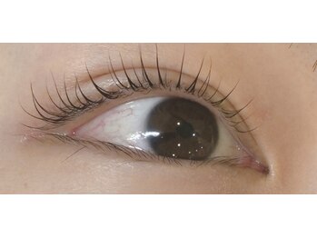 ベリール 南平岸店(Be'Leel)/まつ毛パーマ