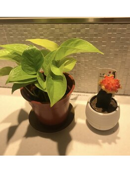 てぃあな(thiana)/てぃあな☆グランドオープン♪♪