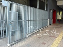 ココア(cocoA)の雰囲気（エスカレーターで5階までお越し下さい♪）