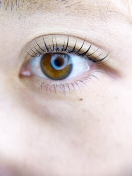 サンフラワー(3flower)/コスメリフト上下♪