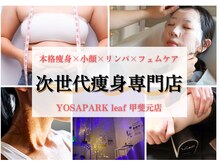 ヨサパーク リーフ 甲斐元店(YOSAPARK leaf)