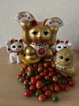 リラクゼーション アポロン(APOLLO)/金の招き猫と梟の宝来ちゃん