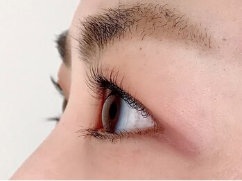 テクニコ(tecnico)/ラッシュリフト（リフト系の例）